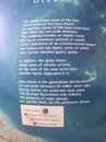 DSCN1163.jpg